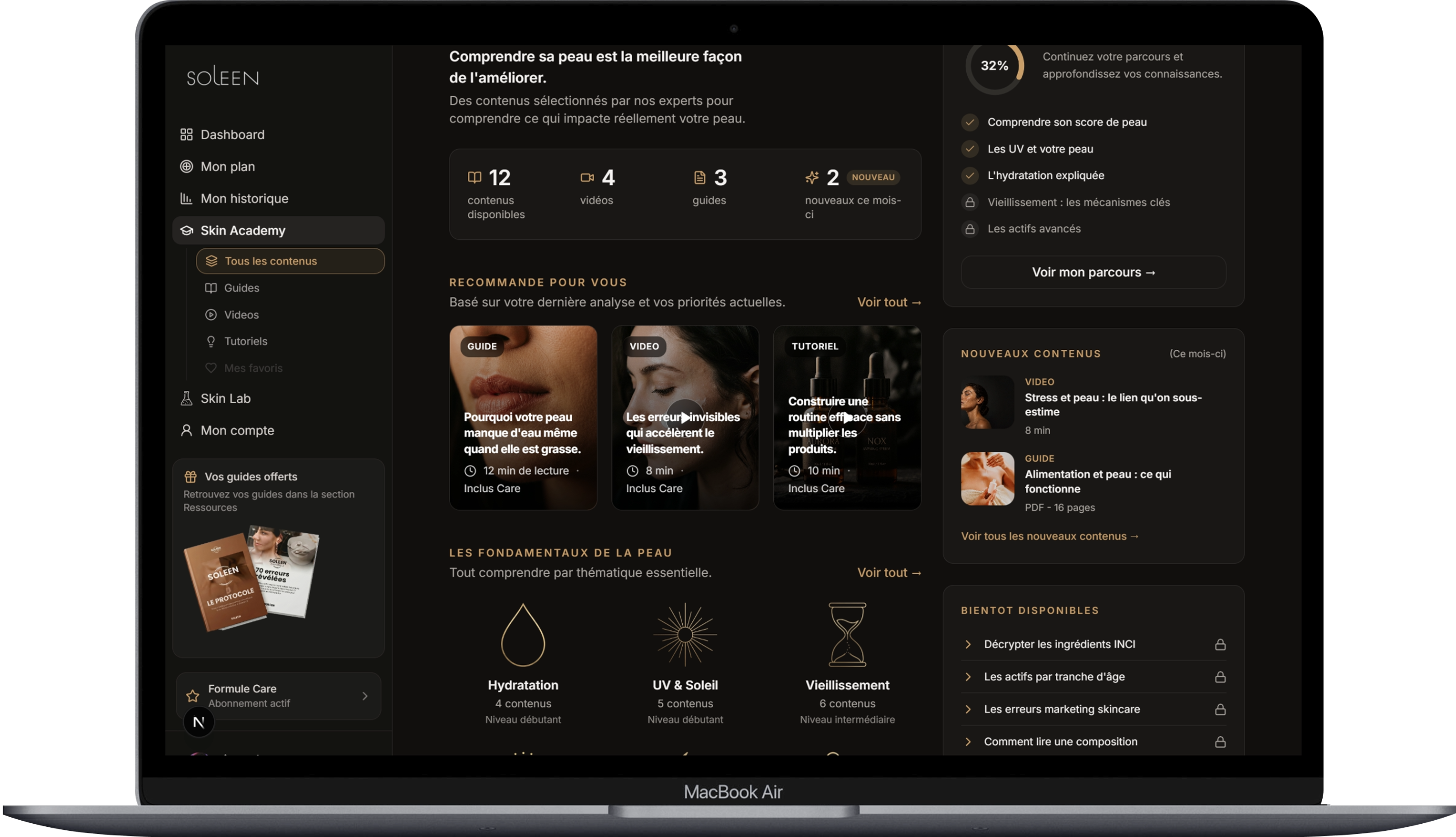 Skin Academy de Soleen sur ordinateur
